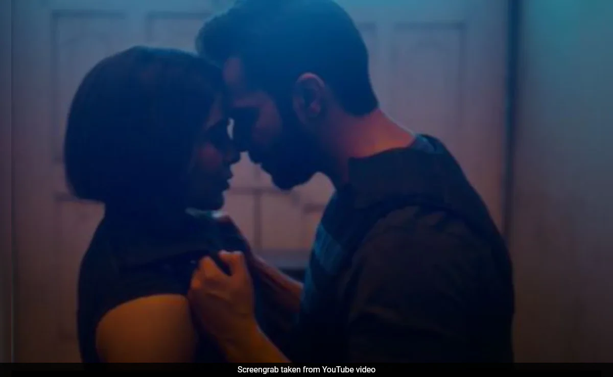 Director Raj Says, "Russo Brothers Were 'Cool' About Cinematic Indian Version Of <i>Citadel</i>"