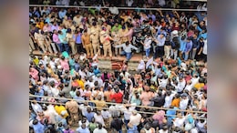 बदलापूर प्रकरणाची उच्च न्यायालयाकडून दखल,&nbsp;सुमोटो याचिकेअंतर्गत आज होणार सुनावणी