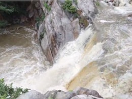 सरिस्का टाइगर रिजर्व में घूमने गए 250 सौ लोग पानी के तेज बहाव में फंसे, प्रशासन ने लिया बड़ा फैसला