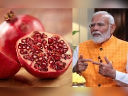 डाळिंबाच्या नव्या 'सोलापूर अनारदाना' वाणाचे पंतप्रधान नरेंद्र मोदींच्या हस्ते लोकार्पण डाळिंबाच्या नव्या 'सोलापूर अनारदाना' वाणाचे पंतप्रधान नरेंद्र मोदींच्या हस्ते लोकार्पण