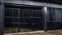 2 Indian-Origin Malaysians Jailed For 10 Months Over Smuggling Attempt