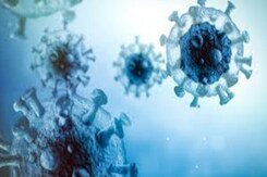 Rajasthan News: 2 साल की बच्ची  Chandipura Virus से संक्रमित, अस्पताल में चल रहा इलाज | Bhilwara Rajasthan News: 2 साल की बच्ची  Chandipura Virus से संक्रमित, अस्पताल में चल रहा इलाज | Bhilwara
