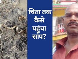 अजब-गजब! डसने के बाद घंटों शरीर में छुपा रहा सांप, पोस्टमार्टम के दौरान भी नहीं चला पता; चिता पर शव लिटाते ही निकला बाहर अजब-गजब! डसने के बाद घंटों शरीर में छुपा रहा सांप, पोस्टमार्टम के दौरान भी नहीं चला पता; चिता पर शव लिटाते ही निकला बाहर