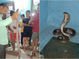 महाराष्ट्र : रेस्क्यू के दौरान कोबरा ने सपेरे को काटा, इलाज नहीं मिलने पर चली गई जान महाराष्ट्र : रेस्क्यू के दौरान कोबरा ने सपेरे को काटा, इलाज नहीं मिलने पर चली गई जान