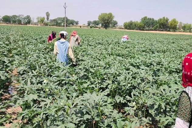 Latest and Breaking News on NDTV Latest and Breaking News on NDTV