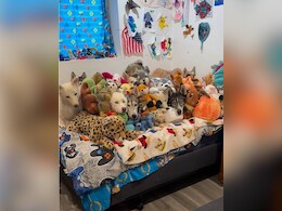 2, 3, 5, 7 या ज्यादा...आपको कितने नजर आए? मकान मालिक के सामने पेट्स छिपाने के लिए किराएदार ने लगाया मस्त जुगाड़ 2, 3, 5, 7 या ज्यादा...आपको कितने नजर आए? मकान मालिक के सामने पेट्स छिपाने के लिए किराएदार ने लगाया मस्त जुगाड़