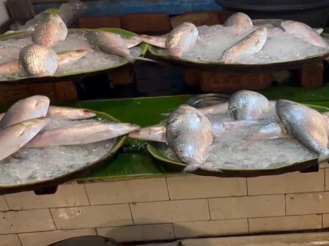 Amid Bangladesh Turmoil Fallout, Hilsa Prices Soar