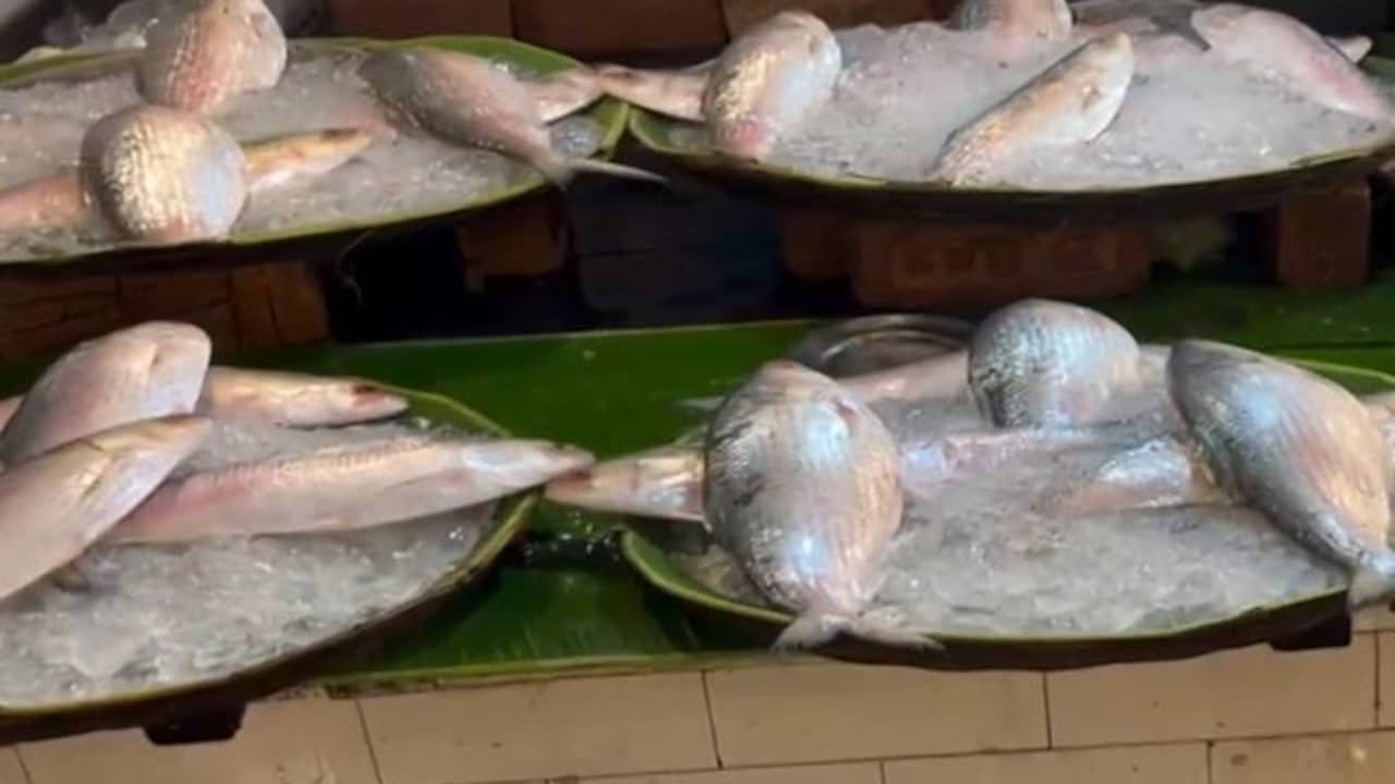 In Reverse Trade Flow, India Exports 500 Tonnes Of Hilsa To Bangladesh