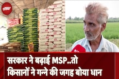 Government ने बढ़ाई धान की MSP, 117 रुपये से बढ़कर हुई 2300 प्रति क्विंटल Government ने बढ़ाई धान की MSP, 117 रुपये से बढ़कर हुई 2300 प्रति क्विंटल