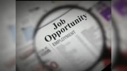 Rajasthan Forest Guard Recruitment: When Will RSSB Release Detailed Notification For 785 Posts