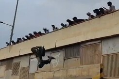 Fed Up With Riders Doing Stunts, People Throw 2 Scooters From Bengaluru Flyover Fed Up With Riders Doing Stunts, People Throw 2 Scooters From Bengaluru Flyover