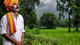 जोधपुर में 40 प्रतिशत कम मानसून की बारिश ने किसानों की चिंता बढ़ी, मौसम विभाग ने कहा- अच्छी बारिश की संभावना अभी भी