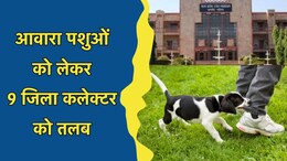 9 जिला कलेक्टरों को नोटिस जारी कर 4 सप्ताह में मांगा गया जवाब, जानें क्या है मामला?