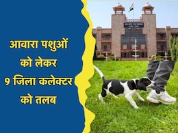 9 जिला कलेक्टरों को नोटिस जारी कर 4 सप्ताह में मांगा गया जवाब, जानें क्या है मामला?
