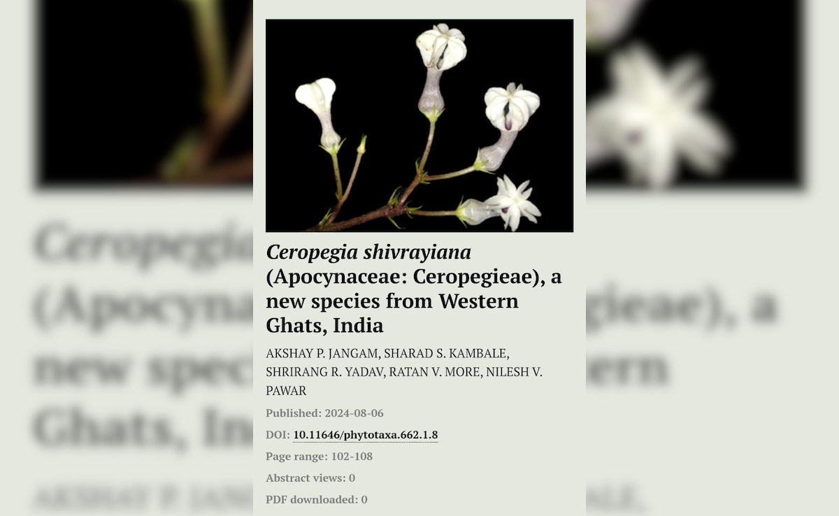 Latest and Breaking News on NDTV Latest and Breaking News on NDTV