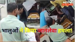 अचानक भालुओं के झुंड ने घेर कर बोल दिया हमला, फिर जो हुआ उससे डर के माहौल में हैं ग्रामीण