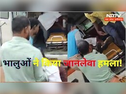 अचानक भालुओं के झुंड ने घेर कर बोल दिया हमला, फिर जो हुआ उससे डर के माहौल में हैं ग्रामीण अचानक भालुओं के झुंड ने घेर कर बोल दिया हमला, फिर जो हुआ उससे डर के माहौल में हैं ग्रामीण