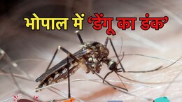 MP की राजधानी में डेंगू का कहर, इस महीने भोपाल में मिले 127 मरीज, स्वास्थ्य विभाग ने दिए सख्त निर्देश