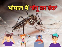 MP की राजधानी में डेंगू का कहर, इस महीने भोपाल में मिले 127 मरीज, स्वास्थ्य विभाग ने दिए सख्त निर्देश MP की राजधानी में डेंगू का कहर, इस महीने भोपाल में मिले 127 मरीज, स्वास्थ्य विभाग ने दिए सख्त निर्देश