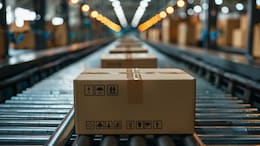 E-Commerce Vendors Created 1.6 Crore Jobs In India, 35 Lakh For Women: Report