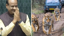 स्पीकर ओम बिरला की पहल पर कोटा-बूंदी के टाइगर रिजर्व को मिलेगी बड़ी सौगात, दिल्ली बैठक में हुआ फैसला