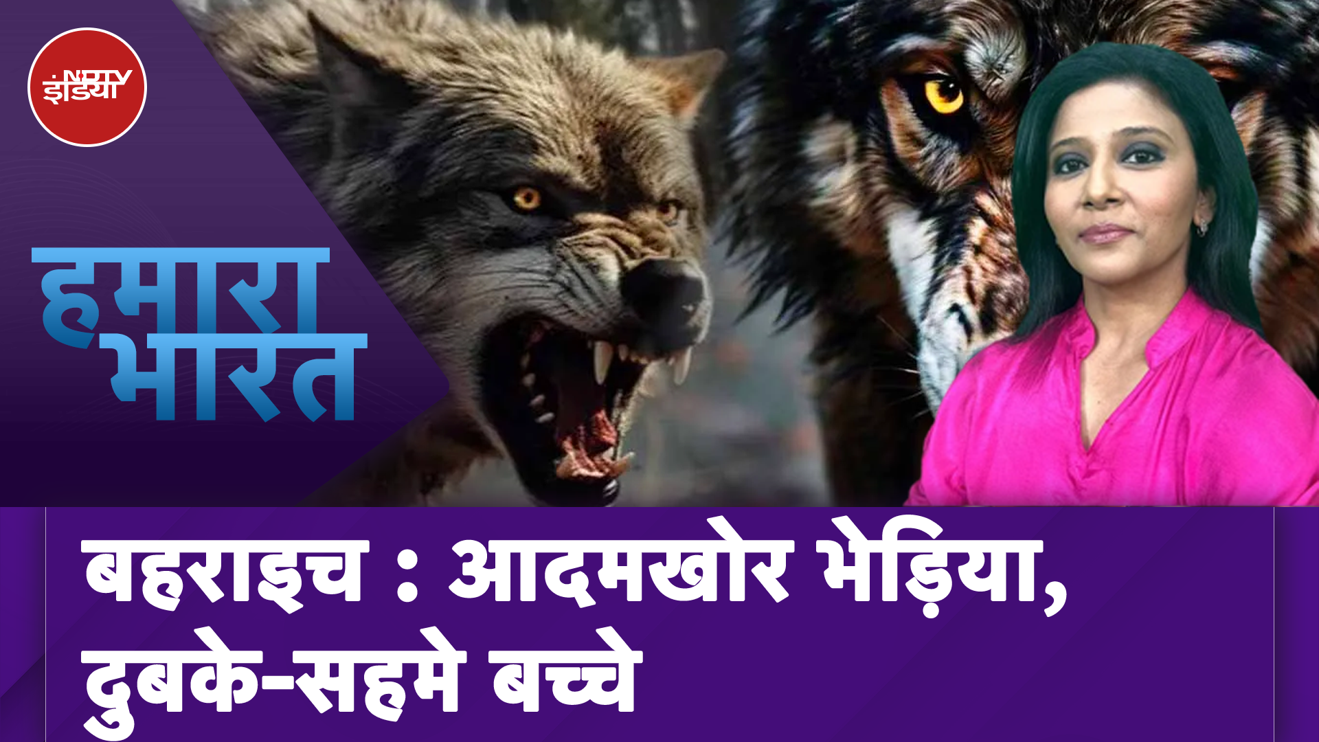 Bahraich Wolf Attack: आदमखोर का आतंक, बच्चे को उठा ले गया भेड़िया, पिता ने सुनाई दर्द भरी कहानी