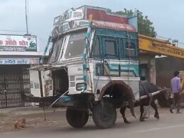 पीछे की तरफ चल पड़ा ट्रक, लोगों को लगा ब्रेक फेल होने का डर, पूरा वीडियो देख हंस-हंसकर लोटपोट हुए लोग