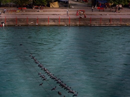 Ganga Water In Haridwar 'Unsafe' For Drinking: Pollution Control Board Ganga Water In Haridwar 'Unsafe' For Drinking: Pollution Control Board