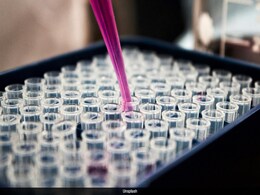 Groundbreaking First Human Trial For The 'Mother Of All Cannabinoids' Begins Groundbreaking First Human Trial For The 'Mother Of All Cannabinoids' Begins