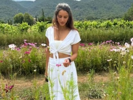 Like Triptii Dimri, You Too Will Be "Manifesting" Your Own Little Farm When You Visit These Charming Farms In France