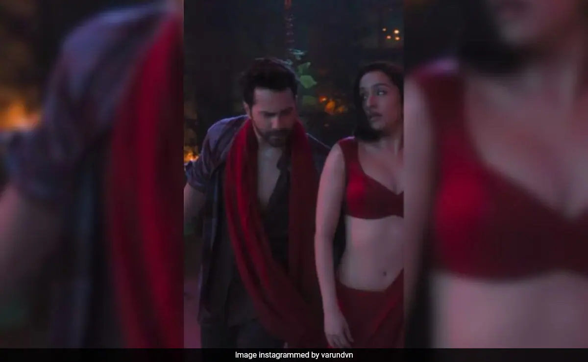 <i>Stree 2</i>: There Is Another Cameo By... Drumroll... Varun Dhawan