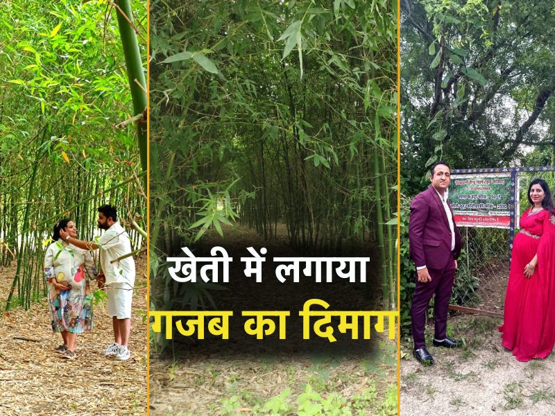MP में कमाल का किसान ! अपने खेत को बना दिया टूरिस्ट स्पॉट, देखने की फीस 50 रु. और वीडियोग्राफी के 2100 रुपये