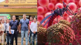 Malaria Case: बलौदा बाजार में मलेरिया का कहर, 172 मरीज मिलने के बाद स्वास्थ्य विभाग में मचा हड़कंप