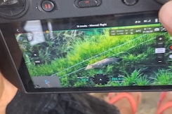 Wolves Been Terrorizing Several Villages In The Bahraich District Of UP Wolves Been Terrorizing Several Villages In The Bahraich District Of UP