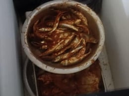 Hyderabad Restaurant Raids: Food Safety Violations Found In And Around DLF Foodstreet, Gachibowli Hyderabad Restaurant Raids: Food Safety Violations Found In And Around DLF Foodstreet, Gachibowli