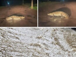 Bundi Rain and Flood: बूंदी की सड़कों पर दिखा सैलाब जैसा नजारा, मगरमच्छ भी टहलते आया नजर Bundi Rain and Flood: बूंदी की सड़कों पर दिखा सैलाब जैसा नजारा, मगरमच्छ भी टहलते आया नजर