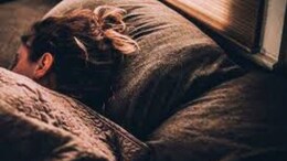 जेवणासाठी वहिनीला झोपेतचं संपवलं, 'ते' कृत्य लागलं जिव्हारी; पुण्यातील संतापजनक घटना&nbsp;