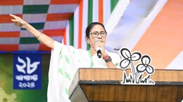 Mamata Banerjee Denies 'Threat To Doctors' Charge, Clarifies Snake Remark