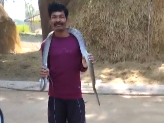 Meet The 'Snake Man Of Surguja', Who Claims He Is Immune To Snake Venom