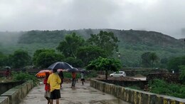 Rajasthan News: रणथंभौर में फंसे 100 लोगों को किया गया रेस्क्यू, भारी बारिश की वजह से सभी रास्ते बंद
