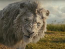 पुष्पा 2 को टक्कर देने आएगी 'मुफासा: द लायन किंग', एक्शन से भरपूर नया ट्रेलर आया सामने पुष्पा 2 को टक्कर देने आएगी 'मुफासा: द लायन किंग', एक्शन से भरपूर नया ट्रेलर आया सामने