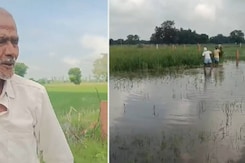 धौलपुर के किसानों के लिए बारिश बन रही आफत ,खरीफ फसलें हो रही बर्बाद