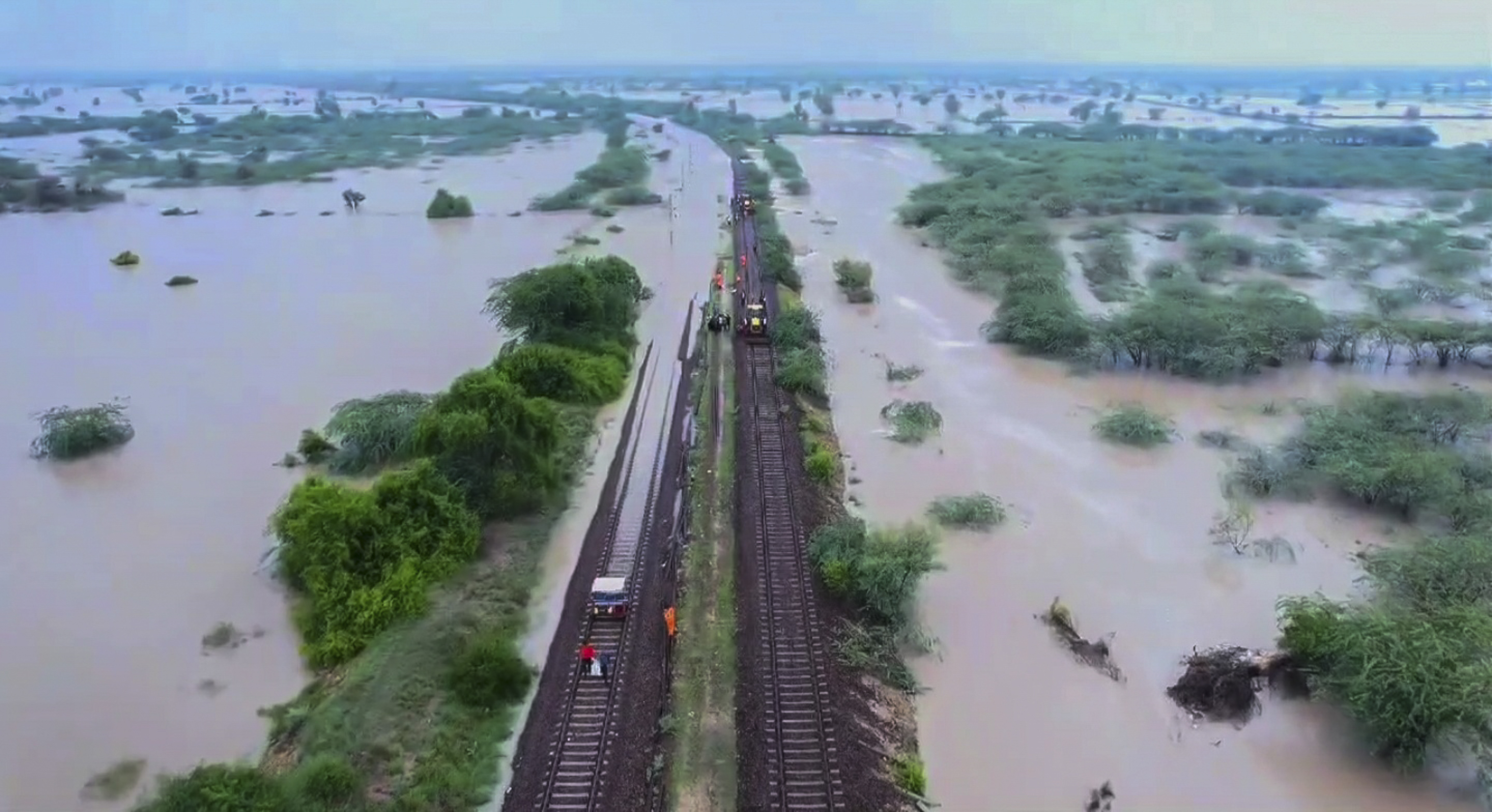 Over 1,400 Died In India During Extreme Weather Events In 2024 Monsoon