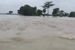 Heavy Rain Wreaks Havoc In West Bengal's Hooghly District, Houses And Trees Uprooted Heavy Rain Wreaks Havoc In West Bengal's Hooghly District, Houses And Trees Uprooted