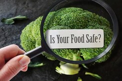 Food Standards Body Launches Project To Tackle Food Contamination Food Standards Body Launches Project To Tackle Food Contamination