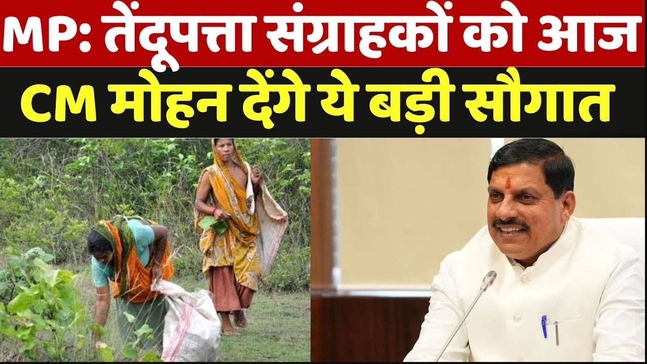 MP CM Sheopur Visit: तेंदूपत्ता संग्राहकों को आज CM मोहन देंगे ये बड़ी सौगात