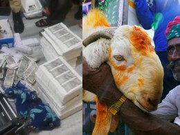 Rajasthan News: घर में नकली नोट छाप कर भेड़-बकरी खरीदते थे बाप-बेटे, जयपुर पुलिस ने 85 लाख की फर्जी करेंसी की बरामद