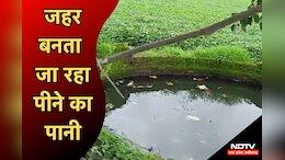 MP में नहीं थम रहा डायरिया का प्रकोप, इस जिले में ससुराल आए दामाद की दूषित पानी पीने से हुई मौत, इतने लोग बीमार