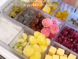 Viral Now: This Vlogger Has Different 'Ice Cubes' For Everything From Soups To Tea