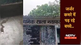 छत्तीसगढ़ में सरकारी स्कूलों के हाल बेहाल, छत से टपक रहा पानी, जर्जर कमरों में देश का भविष्य...